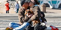 Хвостатые компаньоны